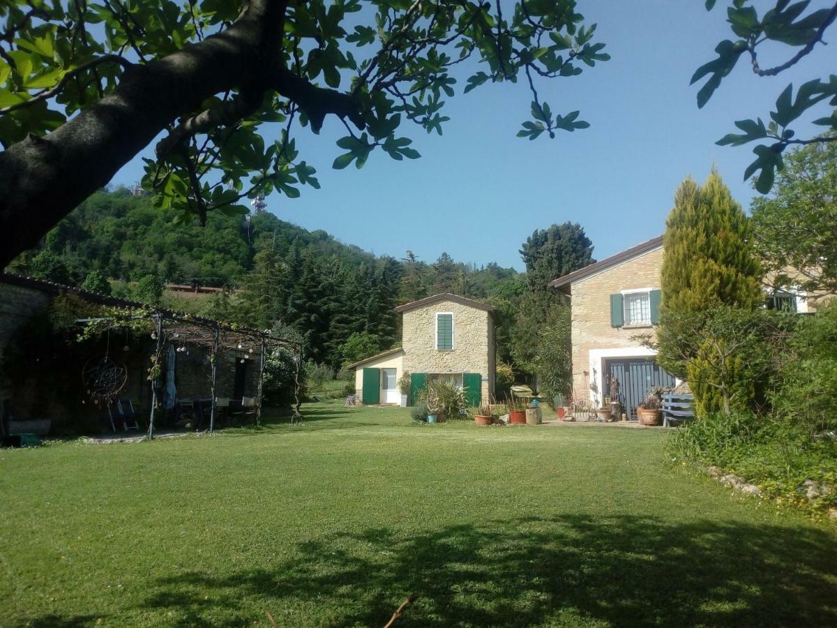 La Cana Dolce Bertinoro Eksteriør billede