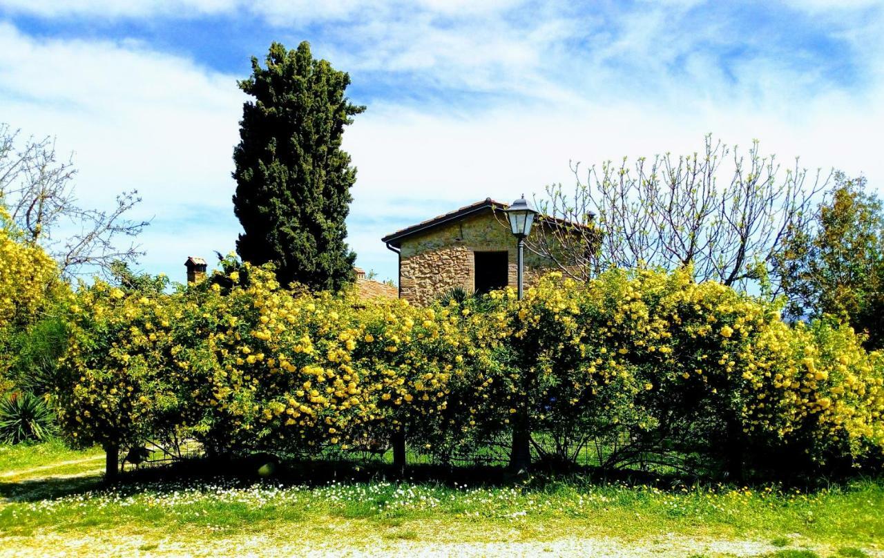 La Cana Dolce Bertinoro Eksteriør billede