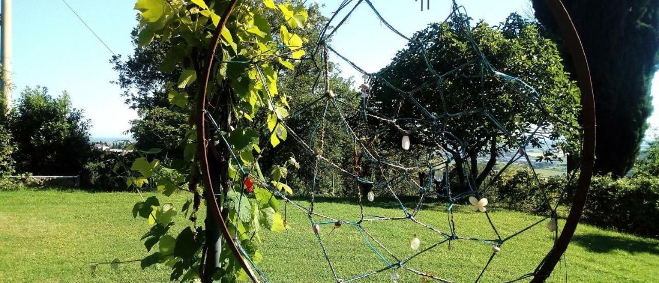La Cana Dolce Bertinoro Eksteriør billede
